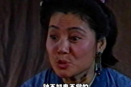 天长融资清欠服务